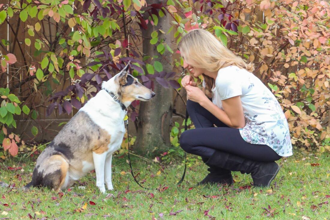 Picture of a woman kneeling with a dog while training it